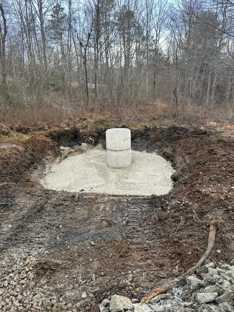 Image from Substack post